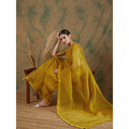 Label Nitika Golden Yellow Embroidered Saree with Stitched Blouse