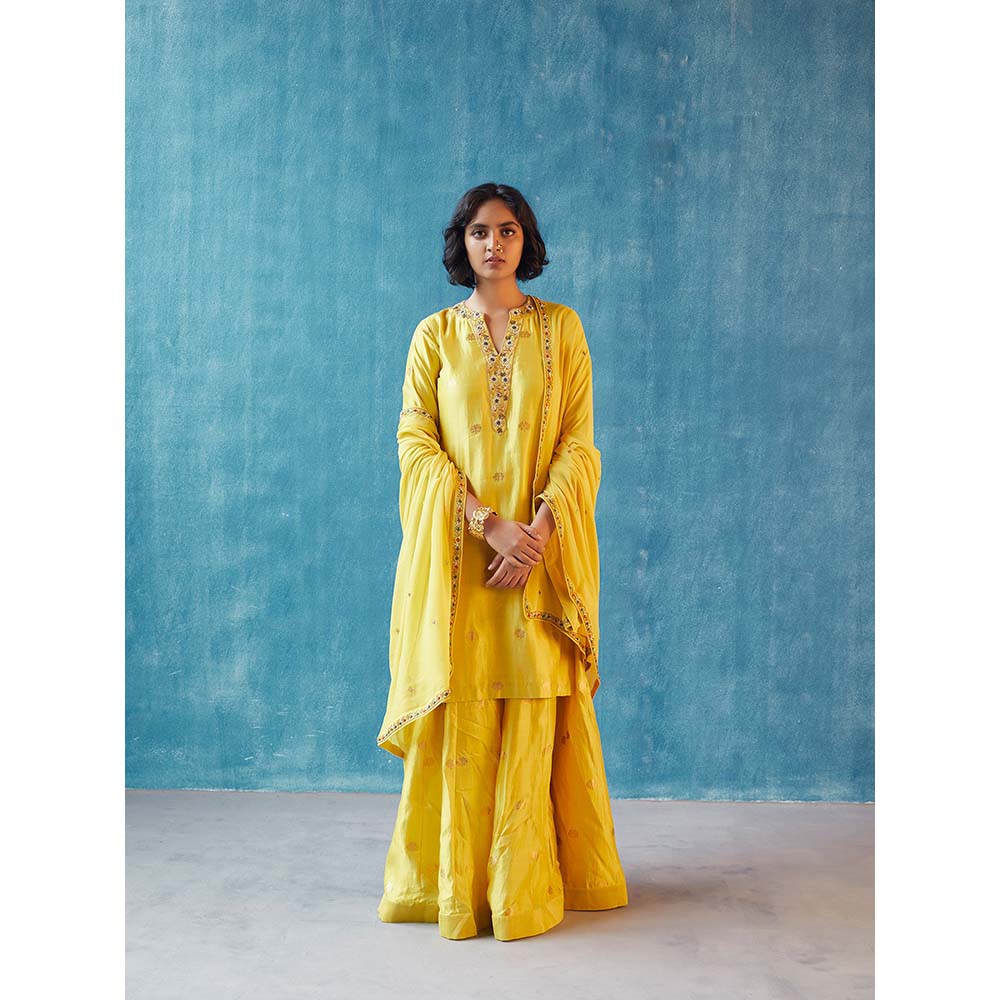 Label Earthen Rachna Kurta with Sharara & Dupatta (Set of 3)