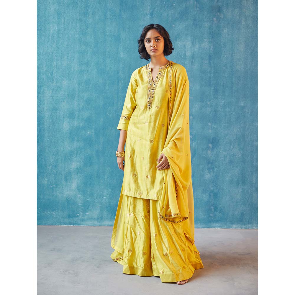 Label Earthen Rachna Kurta with Sharara & Dupatta (Set of 3)