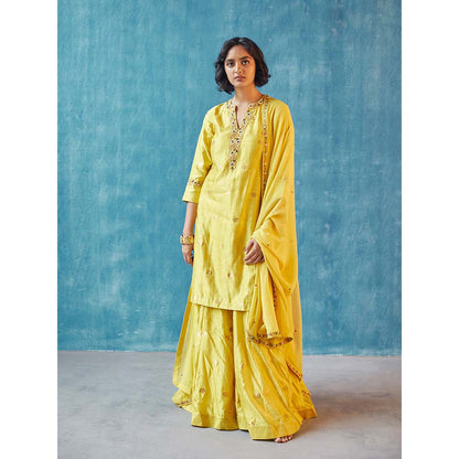 Label Earthen Rachna Kurta with Sharara & Dupatta (Set of 3)