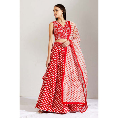 Label Earthen Women Red Floral Lehenga with Choli & Dupatta (Set of 3)