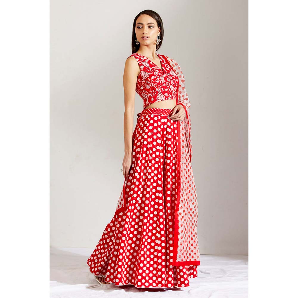 Label Earthen Women Red Floral Lehenga with Choli & Dupatta (Set of 3)