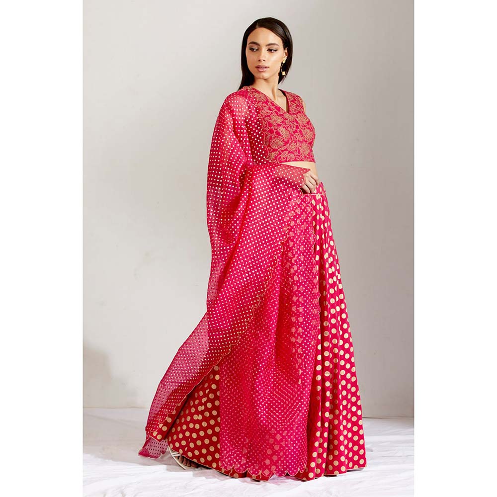 Label Earthen Women Pink Floral Lehenga with Choli & Dupatta (Set of 3)