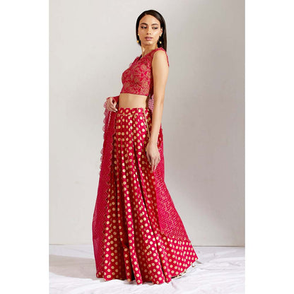 Label Earthen Women Pink Floral Lehenga with Choli & Dupatta (Set of 3)