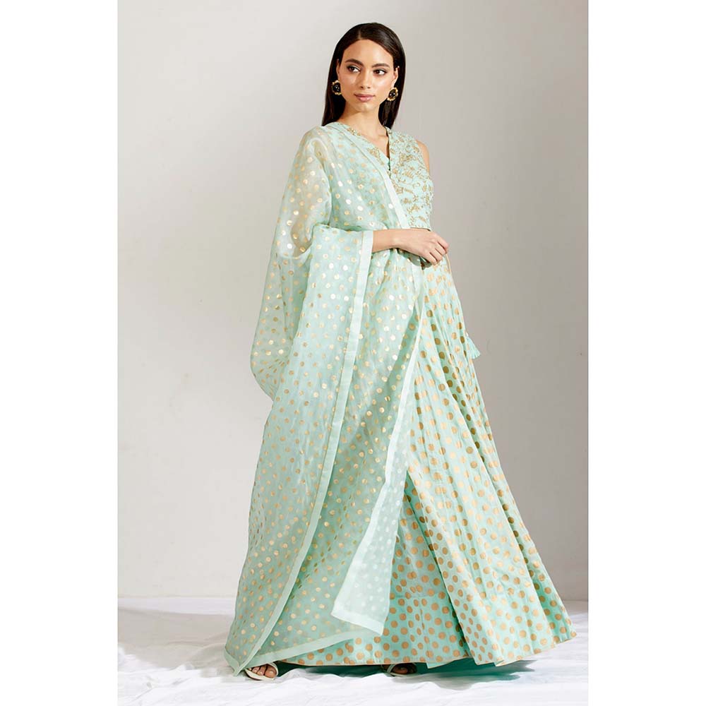 Label Earthen Women Green Floral Lehenga with Choli & Dupatta (Set of 3)