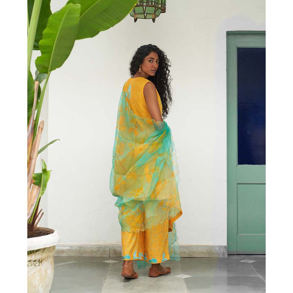 Label Earthen Lili Hand Woven Kurta Pant with Dupatta (Set of 3)