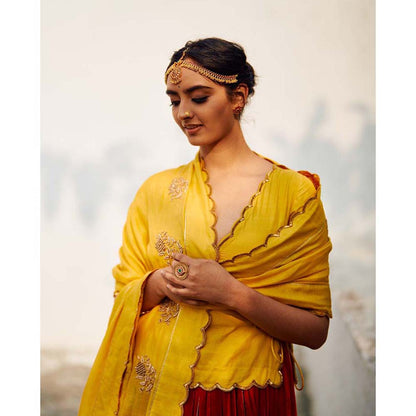 Label Earthen Red & Yellow Champa Makhmal Lehenga Blouse with Embroidered Dupatta (Set of 3)