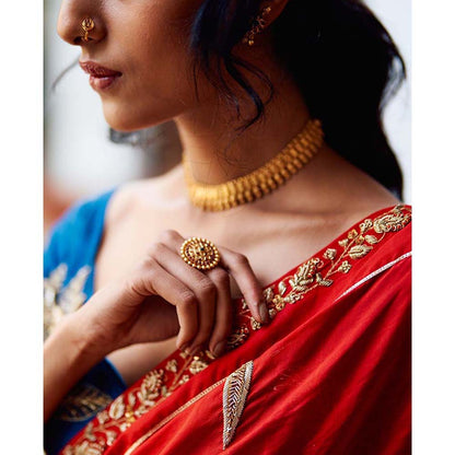 Label Earthen Seetaphool Rani Zardozi Saree with Hand Embroidered with Stitched Blouse
