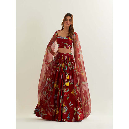 Label Earthen Red Luna Skirt and Blouse with Scallop Dupatta. (Set of 3)