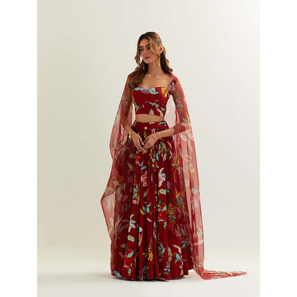 Label Earthen Red Luna Skirt and Blouse with Scallop Dupatta. (Set of 3)