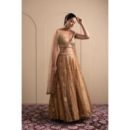 LABEL TANYA CHOPRA Bronze Net Embellished Blouse and Lehenga with Dupatta (Set of 3)