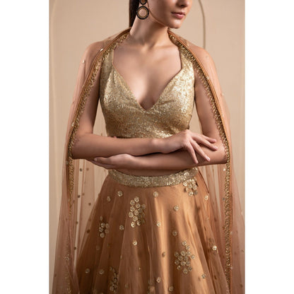 LABEL TANYA CHOPRA Bronze Net Embellished Blouse and Lehenga with Dupatta (Set of 3)