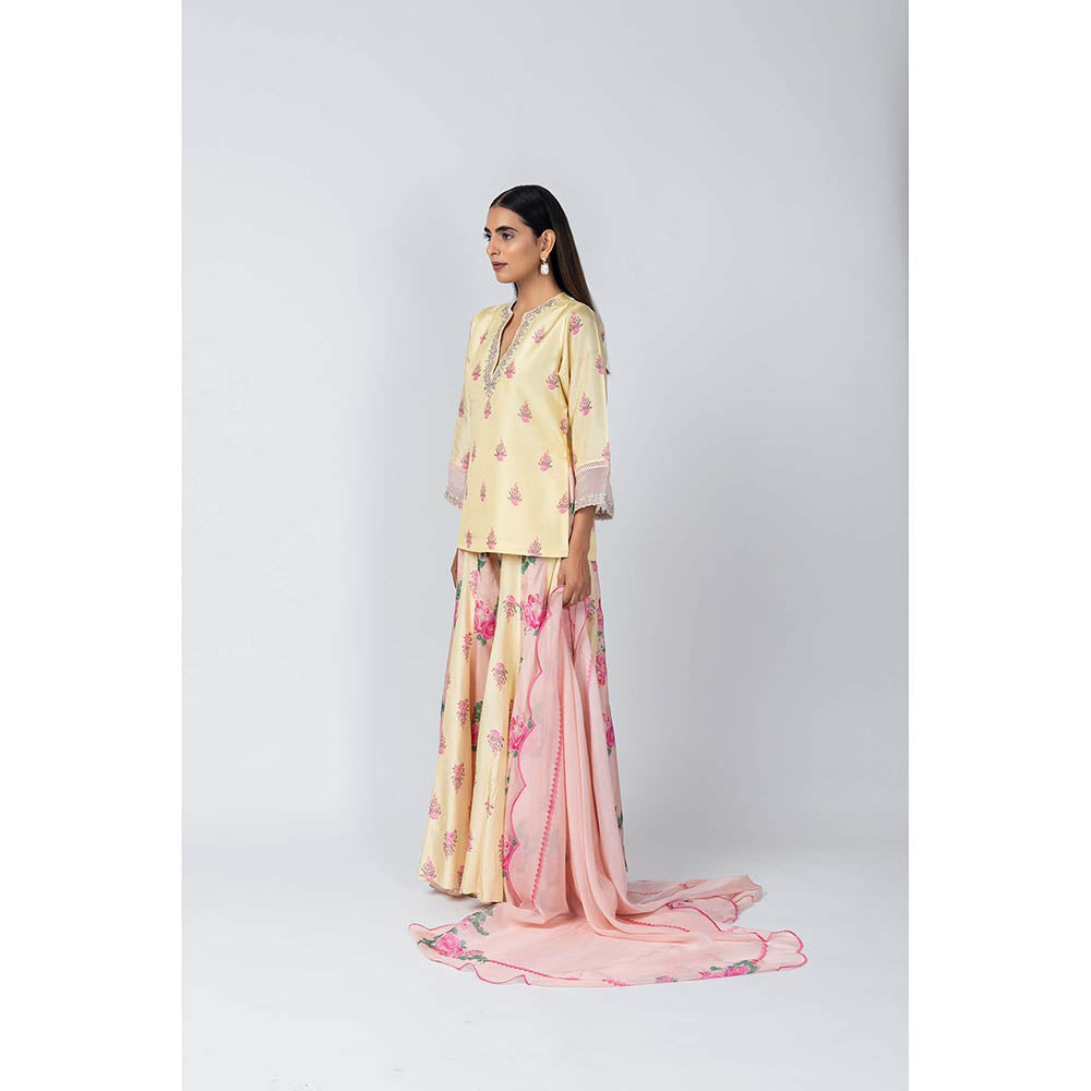 LABEL NAARITI Shabana Yellow Kurti with Sharara and Dupatta (Set of 3)