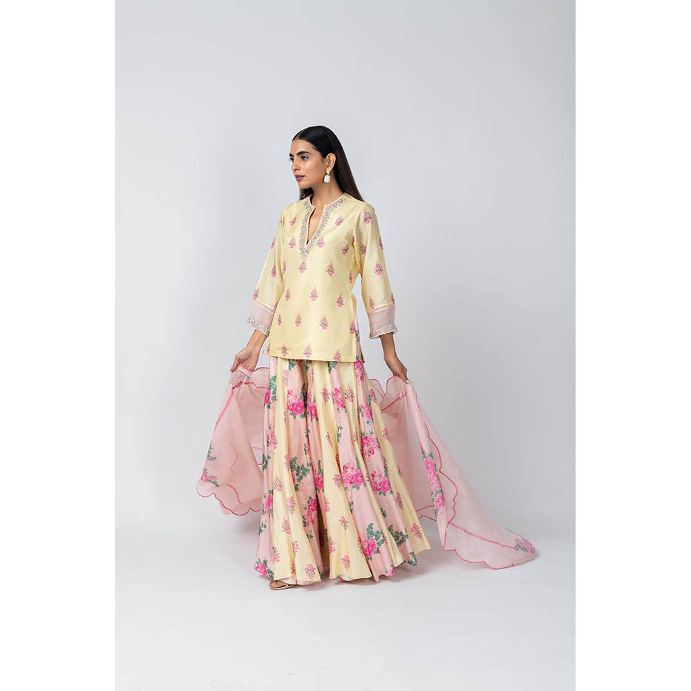 LABEL NAARITI Shabana Yellow Kurti with Sharara and Dupatta (Set of 3)