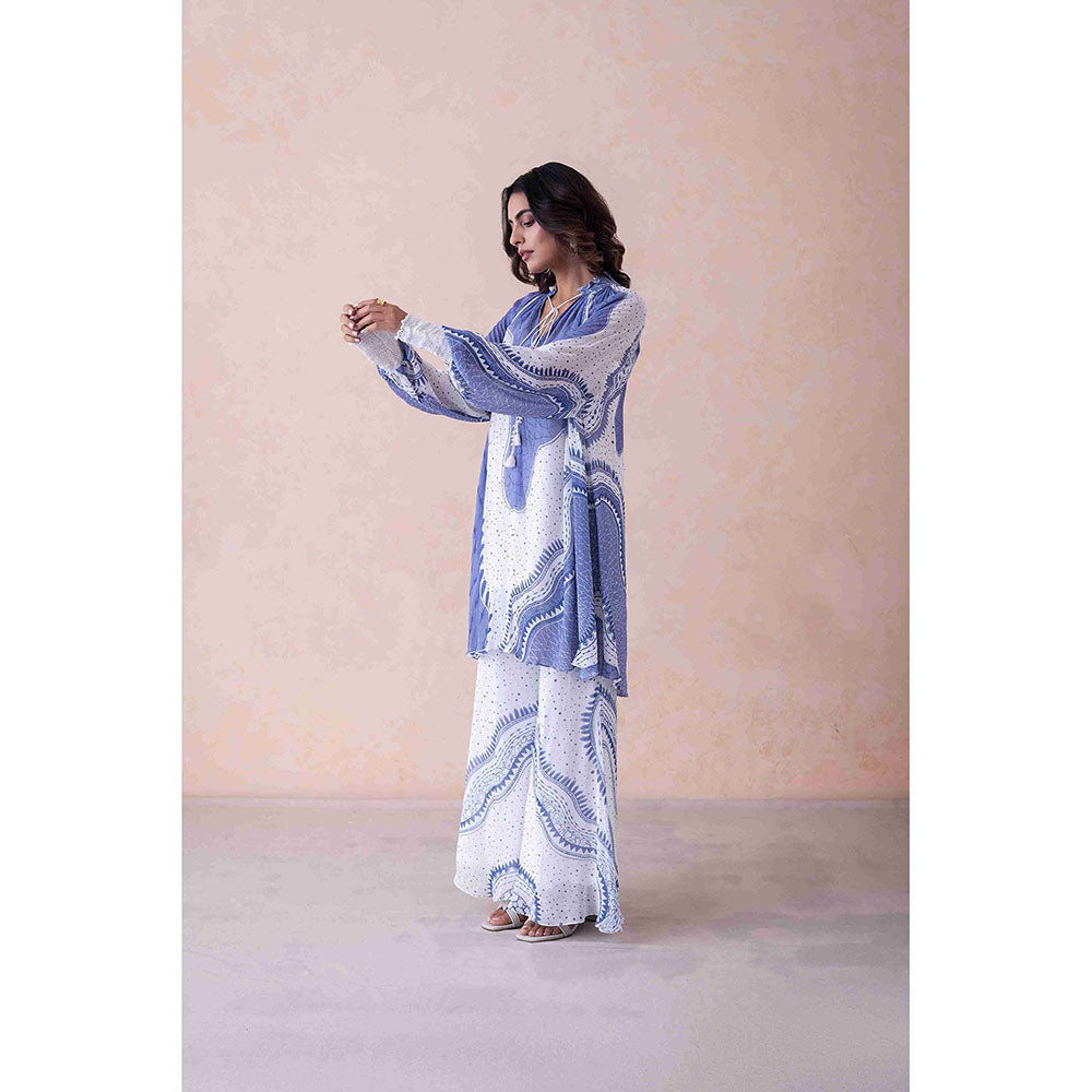 LABEL NAARITI Women Abstract Printed Blue Top with Palazzo Co-Ord