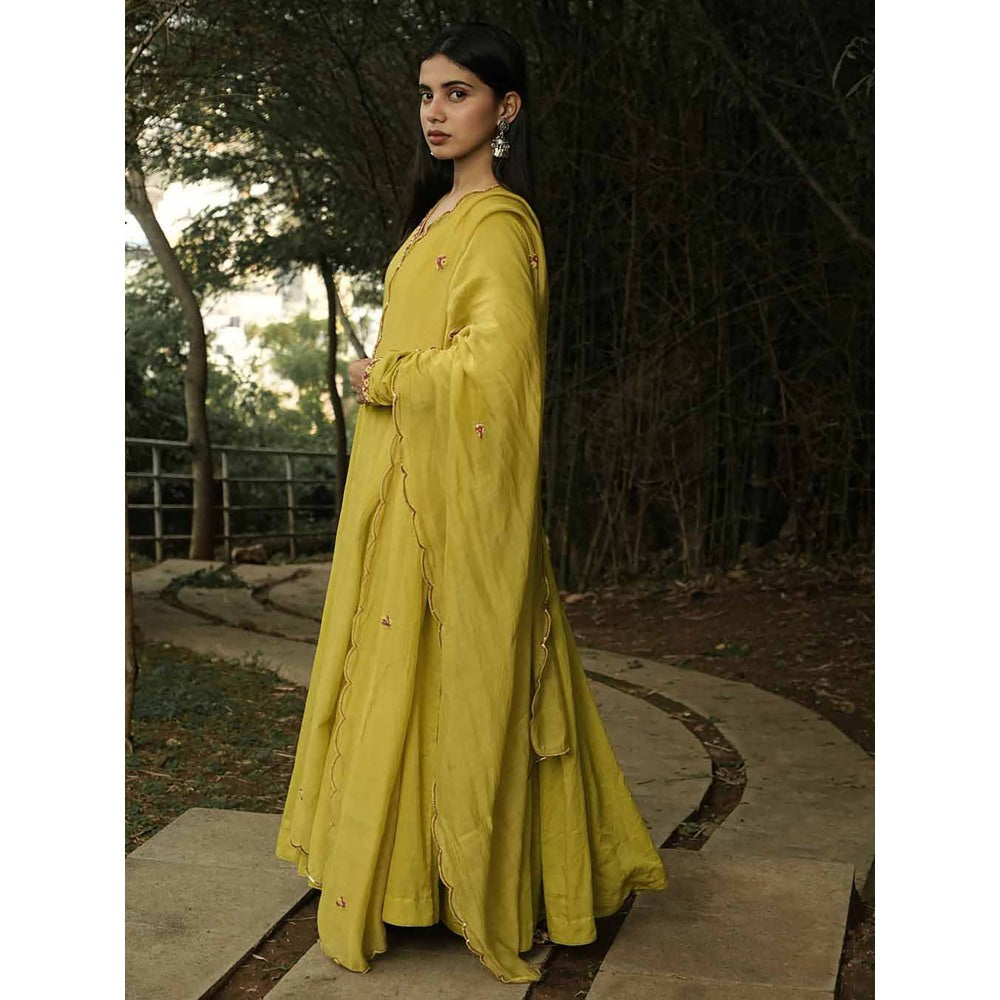 Label Ruby Hand Embroidered Dark Yellow Anarkali with Pant and Dupatta (Set of 3)