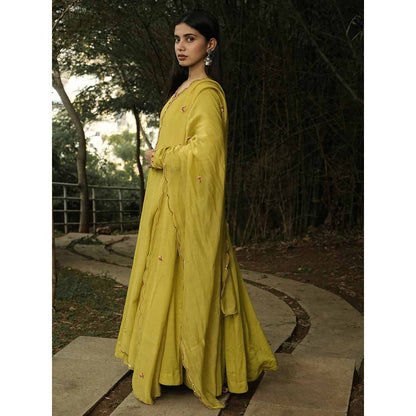 Label Ruby Hand Embroidered Dark Yellow Anarkali with Pant and Dupatta (Set of 3)