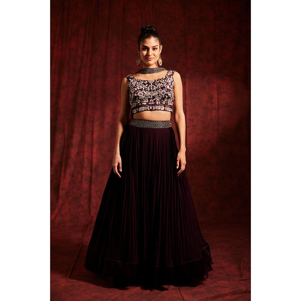 Label Gayatri Bishnoi Wine Lehenga with Blouse and Dupatta (Set of 3)