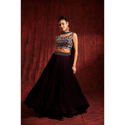 Label Gayatri Bishnoi Wine Lehenga with Blouse and Dupatta (Set of 3)
