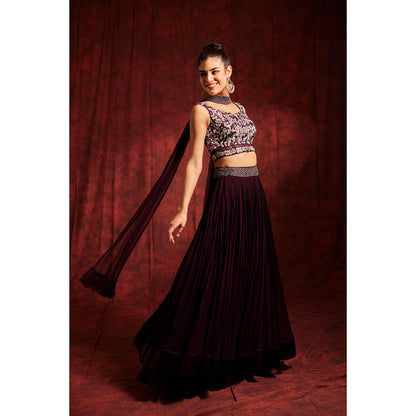 Label Gayatri Bishnoi Wine Lehenga with Blouse and Dupatta (Set of 3)