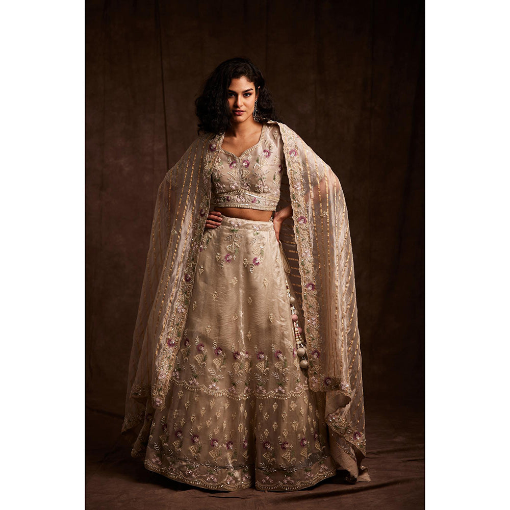 Label Gayatri Bishnoi Nude Sequin Lehenga with Blouse and Dupatta (Set of 3)