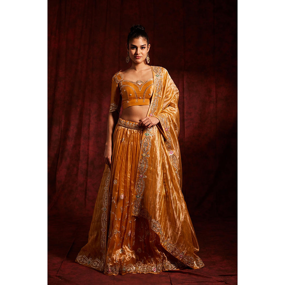 Label Gayatri Bishnoi Mustard Gota Patti Tissue Lehenga with Blouse and Dupatta (Set of 3)