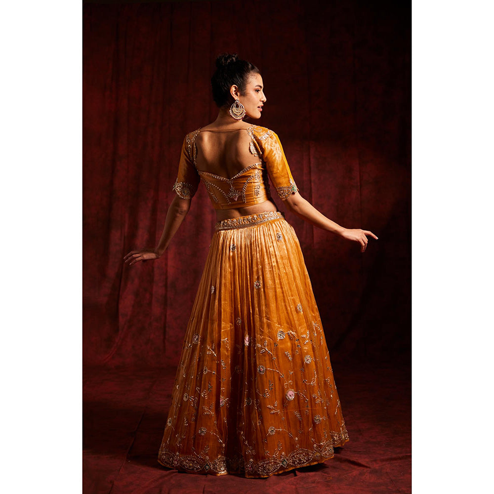 Label Gayatri Bishnoi Mustard Gota Patti Tissue Lehenga with Blouse and Dupatta (Set of 3)