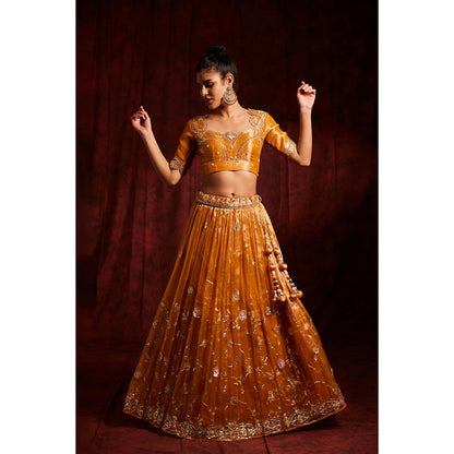 Label Gayatri Bishnoi Mustard Gota Patti Tissue Lehenga with Blouse and Dupatta (Set of 3)