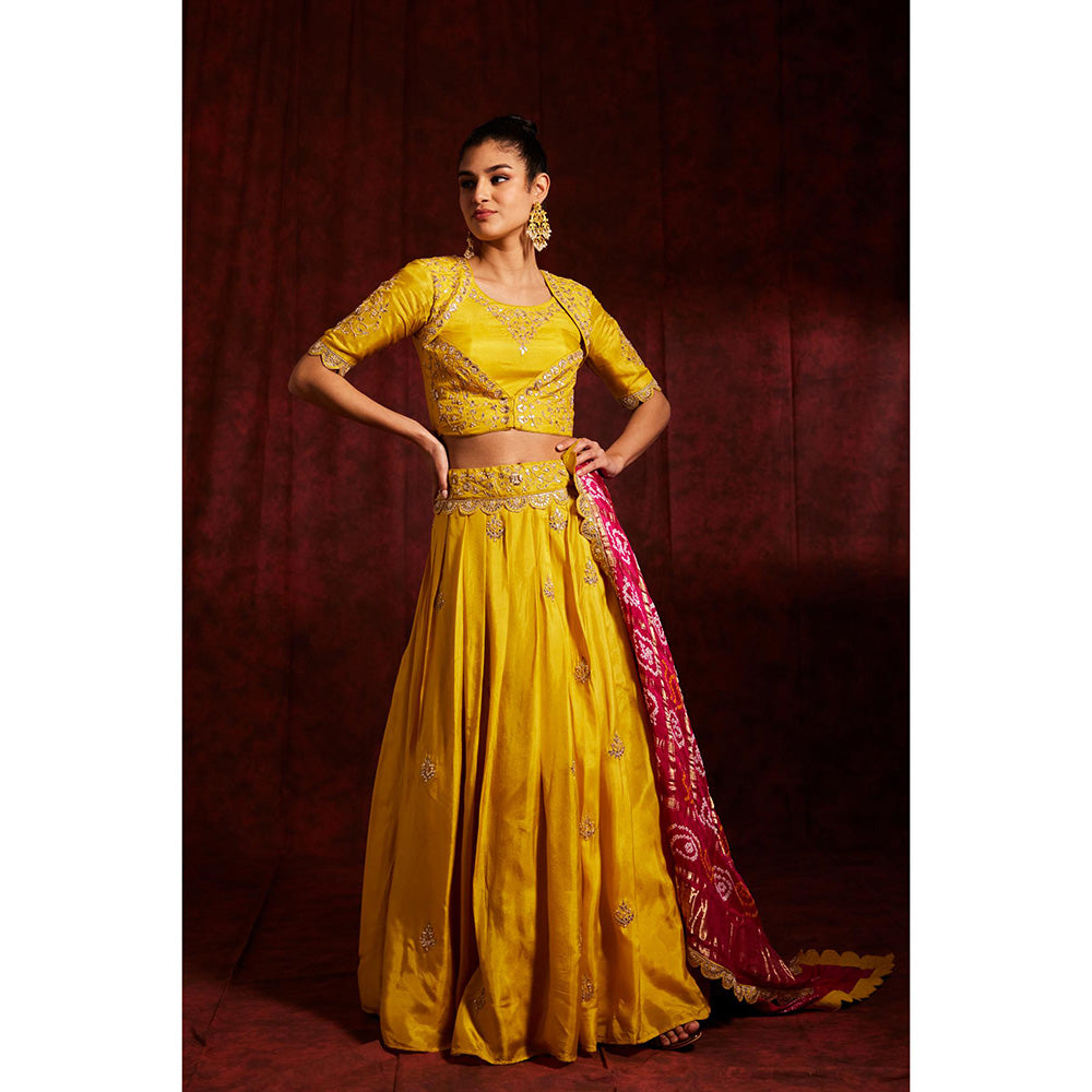 Label Gayatri Bishnoi Yellow Sunahra Gharchola Lehenga with Blouse and Dupatta (Set of 3)