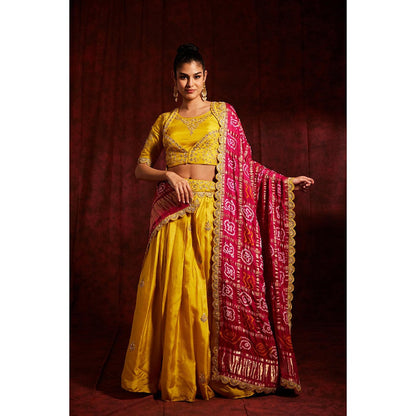 Label Gayatri Bishnoi Yellow Sunahra Gharchola Lehenga with Blouse and Dupatta (Set of 3)