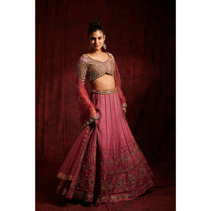 Label Gayatri Bishnoi Mauve Kashi Lehenga with Blouse and Dupatta (Set of 3)