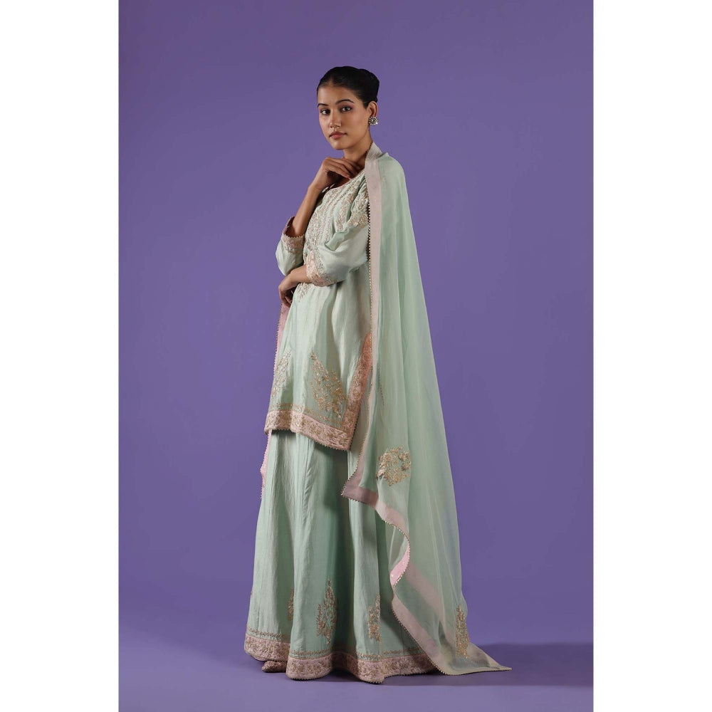 Label Radini Mrunali Sharara with Kurta and Dupatta - Blue