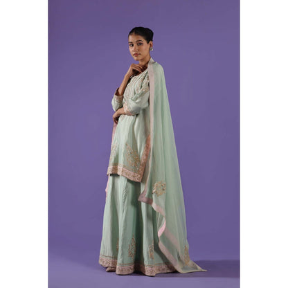 Label Radini Mrunali Sharara with Kurta and Dupatta - Blue