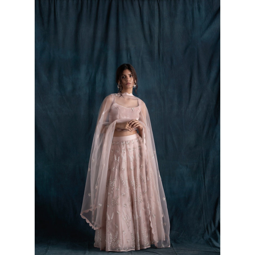 Lavanya Ahuja Blush Organza & Velvet Lehenga & Blouse with Dupatta (Set of 3)