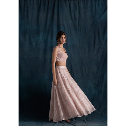Lavanya Ahuja Blush Organza & Velvet Lehenga & Blouse with Dupatta (Set of 3)