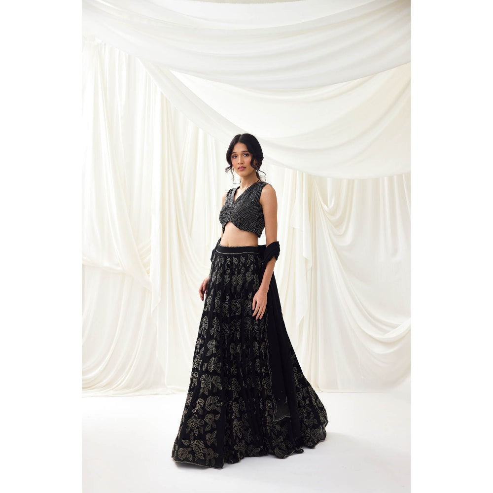 Lavanya Ahuja Black Embroidered Organza Lehenga with Blouse and Dupatta (Set of 3)
