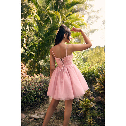 Lea Clothing Becca Baby Pink Mesh Mini Dress
