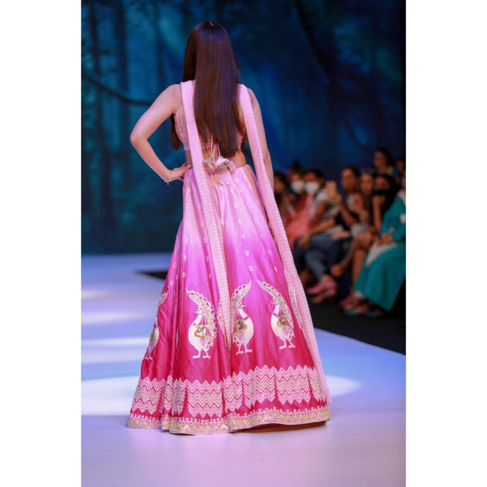 Leela by A Shaded Pink Lehenga With Choli