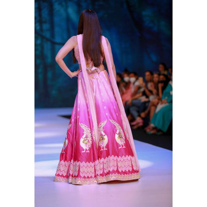 Leela by A Shaded Pink Lehenga With Choli