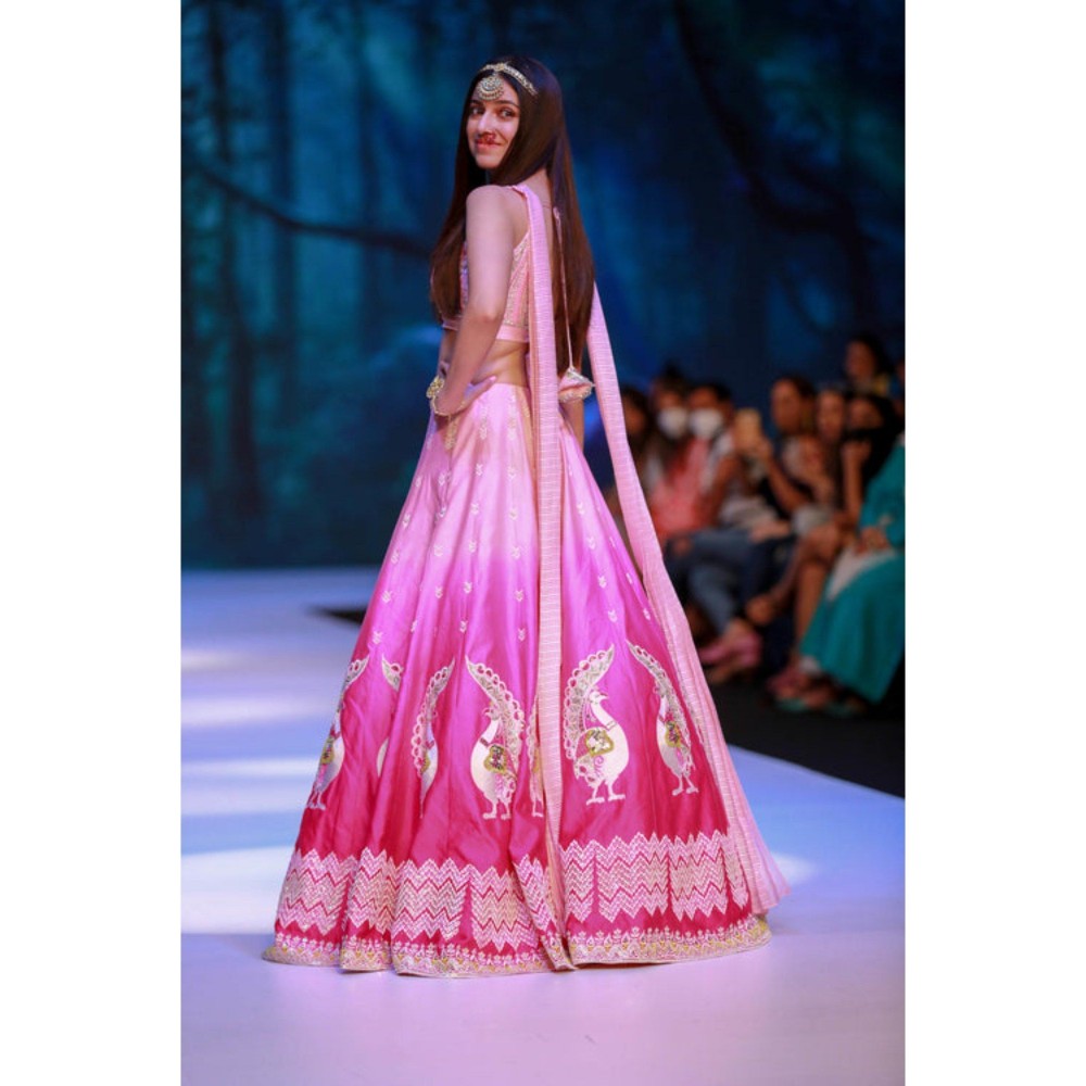 Leela by A Shaded Pink Lehenga With Choli