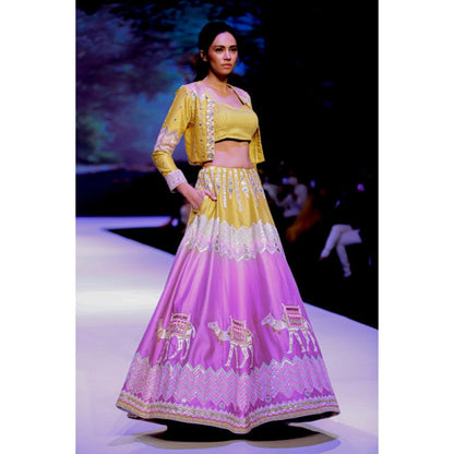 Leela by A The Month Lehenga With Choli And Jacket