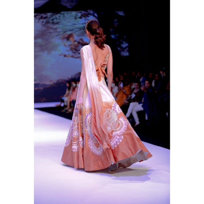 Leela by A The Cinnamon Horse Lehenga With Blouse