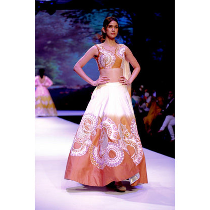 Leela by A The Cinnamon Horse Lehenga With Blouse