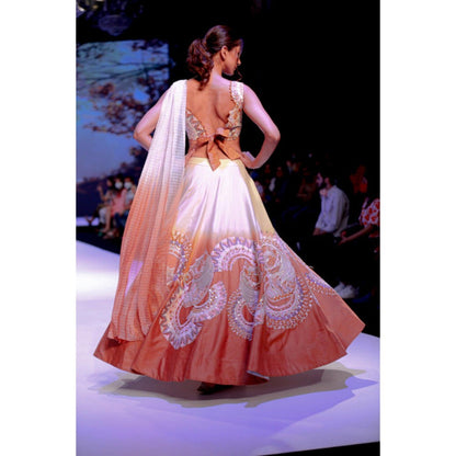 Leela by A The Cinnamon Horse Lehenga With Blouse