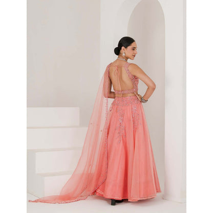 Maive Dusty Peach Hand Embroidered Lehenga with Blouse and Dupatta (Set of 3)