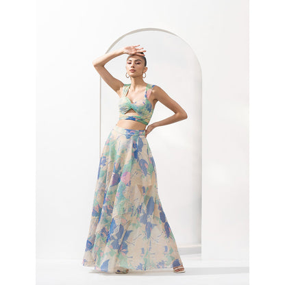 MANDIRA WIRK Mesh Lurex Co-Ord with Solid Organza Layer Under The Skirt (Set of 2)