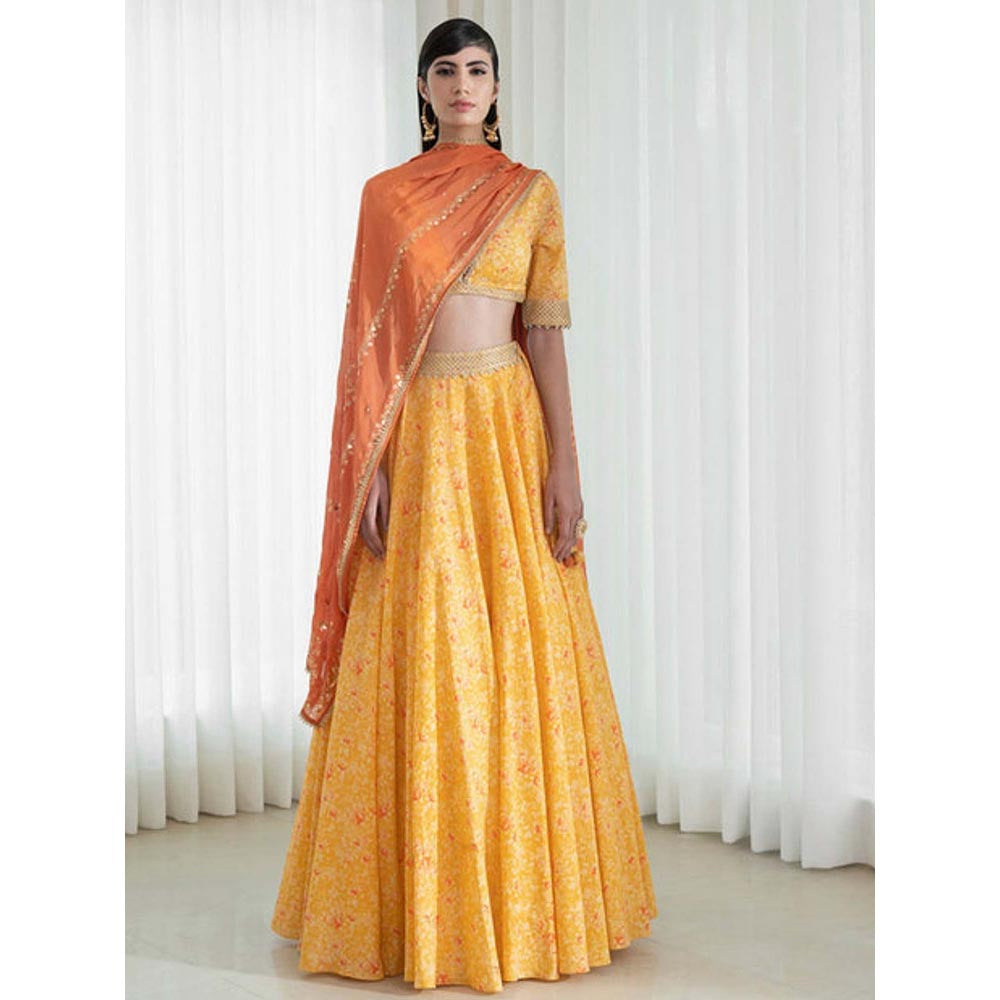 MANDIRA WIRK Lehenga Set With Printed Blouse