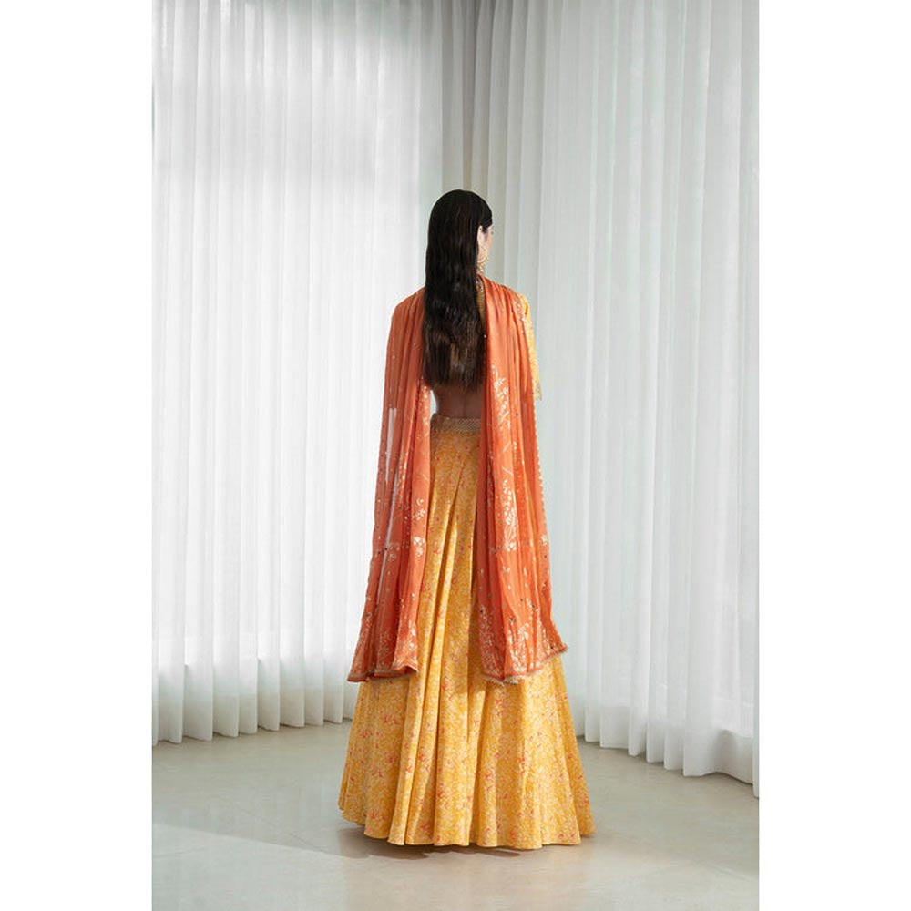 MANDIRA WIRK Lehenga Set With Printed Blouse