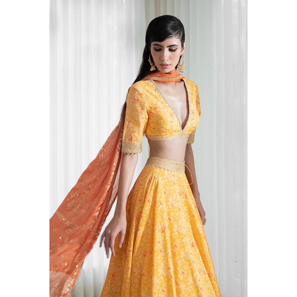 MANDIRA WIRK Lehenga Set With Printed Blouse