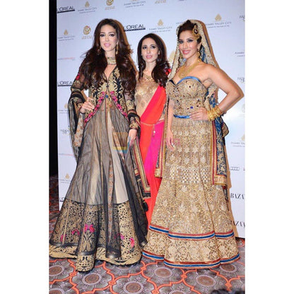 MANDIRA WIRK Sophie Chaudry Lehenga Blouse With Dupatta